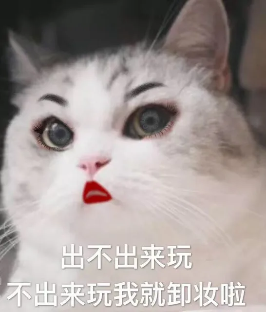 出不出来玩 不出来玩我就卸妆啦（猫咪表情包）