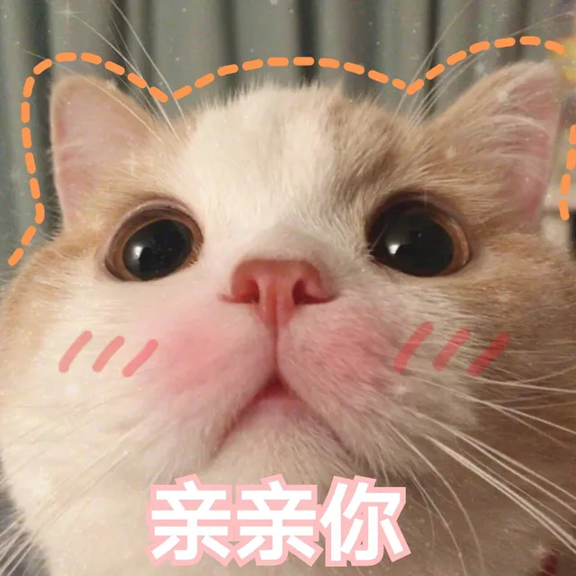 亲亲你（亲亲你）