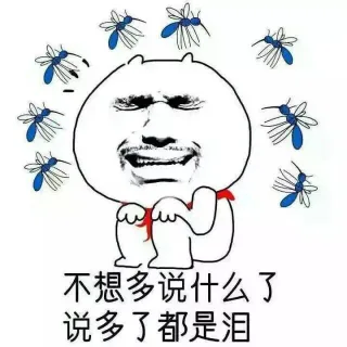 不想多说什么了 说多了都是泪