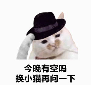 今晚有空吗换小猫再问一下（今晚有空吗换小猫再问一下）