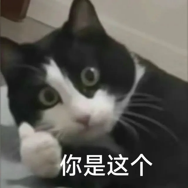 你是这个（你是这个）