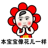本宝宝像花儿一样