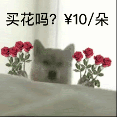 买花吗？10元一朵（买花吗？10元一朵）