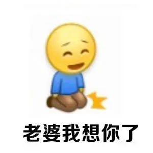 老婆就是天，老婆就是我的一切_老婆_宠妻_撩妹撩汉表情包
