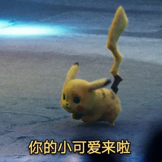 你的小可爱来啦