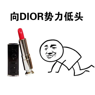 向DIOR势力低头（向DIOR势力低头）