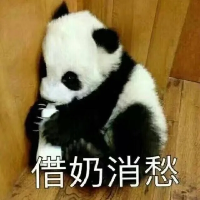 国宝大熊猫滚滚表情包_熊猫_萌萌哒表情包