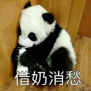 国宝大熊猫滚滚表情包_熊猫_萌萌哒表情包