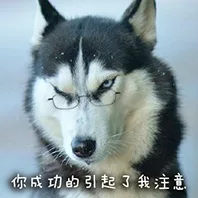 你成功的引起了我的注意