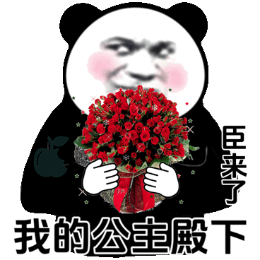 臣来了我的公主殿下（臣来了我的公主殿下）