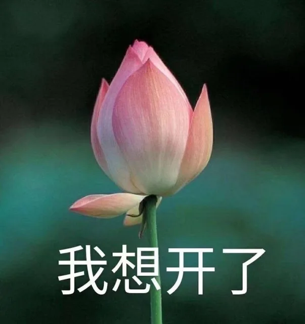 我想开了（我想开了）