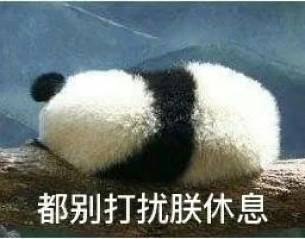 都别打扰朕休息