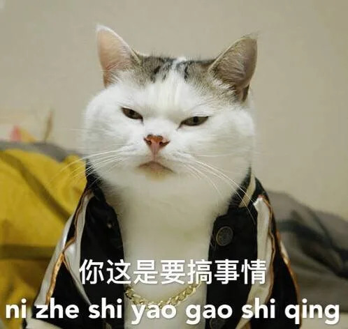 你这是要搞事情？！（你这是要搞事情？！）