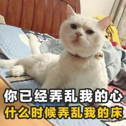 你已经弄乱我的心什么时候弄乱我的床（你已经弄乱我的心什么时候弄乱我的床）