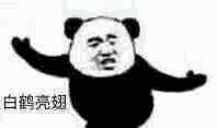 熊猫头练武 GIF 动图