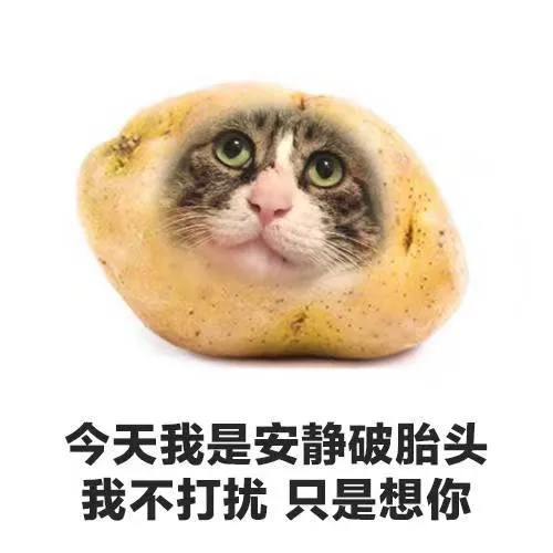 今天我是安静破胎头我不打扰只是想你（今天我是安静破胎头我不打扰只是想你）