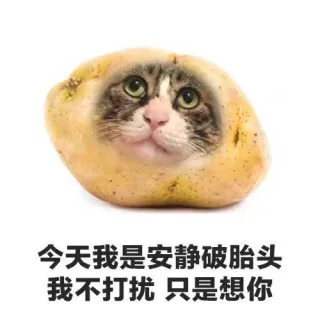 今天我是安静破胎头我不打扰只是想你