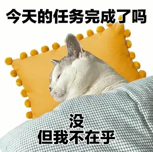 今天的任务完成了吗没但我不在乎（今天的任务完成了吗没但我不在乎）