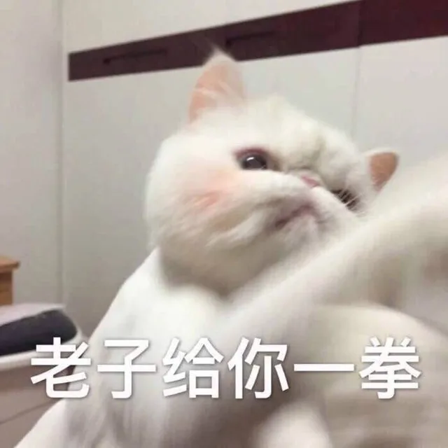 老子给你一拳（老子给你一拳）