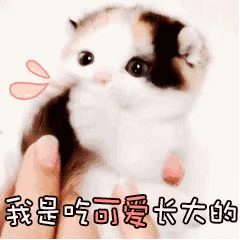 我是吃可爱长大的（我是吃可爱长大的）