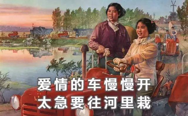 爱情的车慢慢开，太急要往河里栽（爱情的车慢慢开，太急要往河里栽）