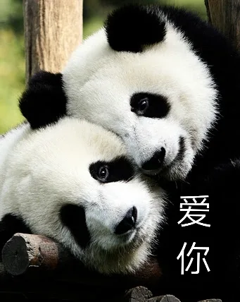 爱你（爱你）
