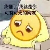 我懂了，我就是你可有可无的网友（我懂了，我就是你可有可无的网友）