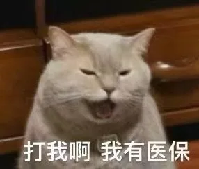 打我啊我有医保(猫猫表情包)（打我啊我有医保(猫猫表情包)）