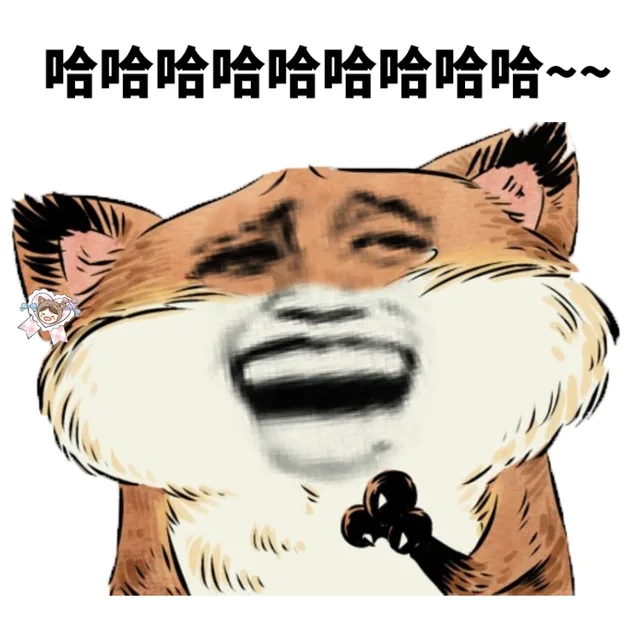 一组小狐狸