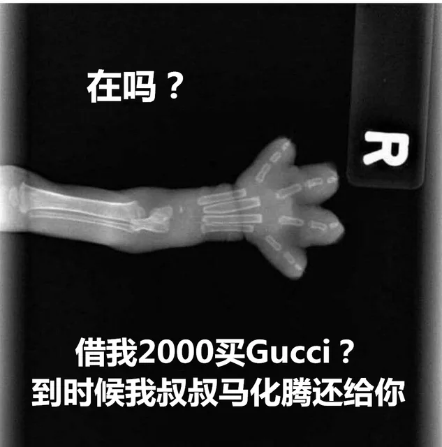 在吗借我2000买 Gucci?到时候我叔叔马化腾还给你
