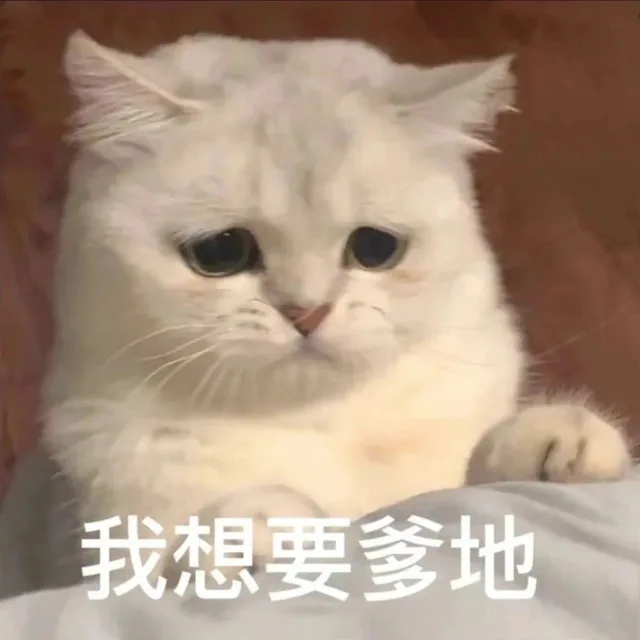 我想要爹地（我想要爹地）