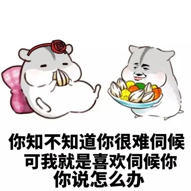 你知不知道你很难伺候可我就是喜欢伺候你你说怎么办（你知不知道你很难伺候可我就是喜欢伺候你你说怎么办）
