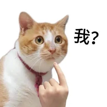 我？（我？）