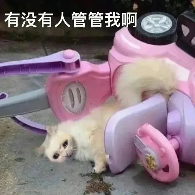 有没有人管管我啊(猫猫翻车表情包)（有没有人管管我啊(猫猫翻车表情包)）
