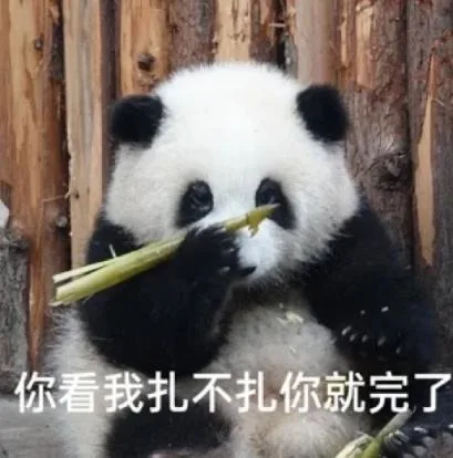 你看我扎不扎你就完了（你看我扎不扎你就完了）