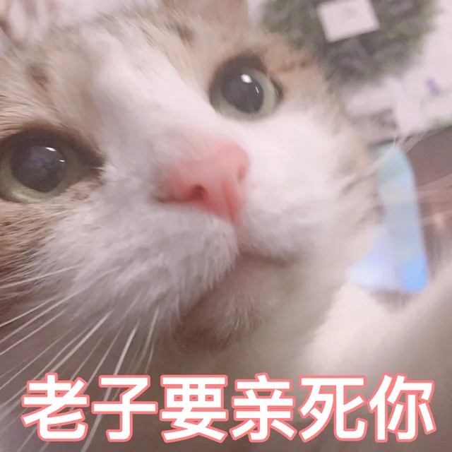 老子要亲死你（老子要亲死你）