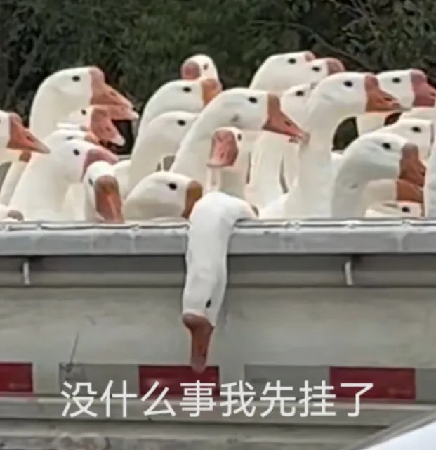 没什么事我先挂了（没什么事我先挂了）