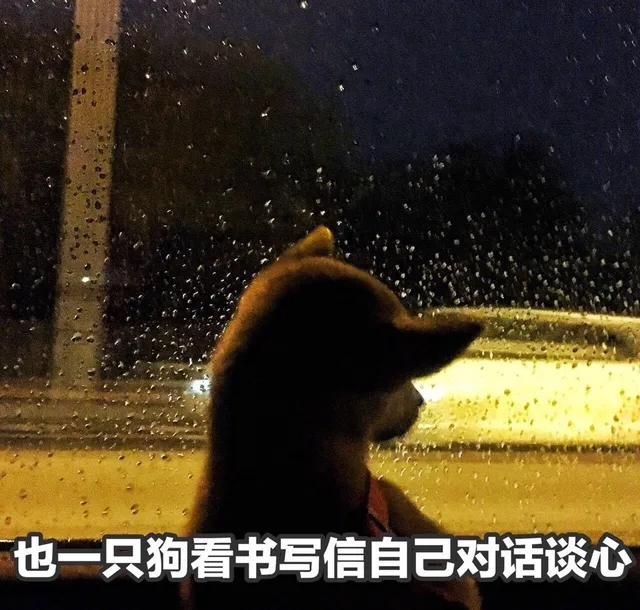 也一只狗看书写信自己对话谈心