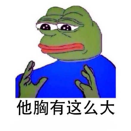 他胸有这么大