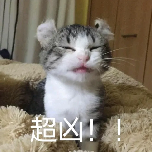超凶！！（猫咪）（超凶！！（猫咪））