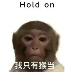 Hold on我只有猴当(吗喽表情包)（Hold on我只有猴当(吗喽表情包)）