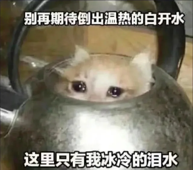 别再期待倒出温热的白开水这里只有我冰冷的泪水（别再期待倒出温热的白开水这里只有我冰冷的泪水）