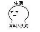 生活真叫人头秃