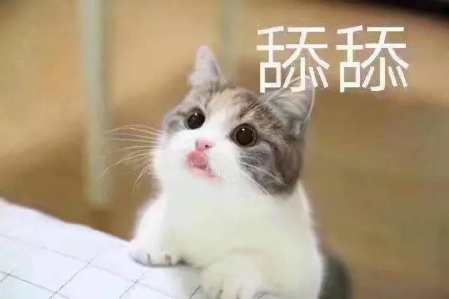 舔舔