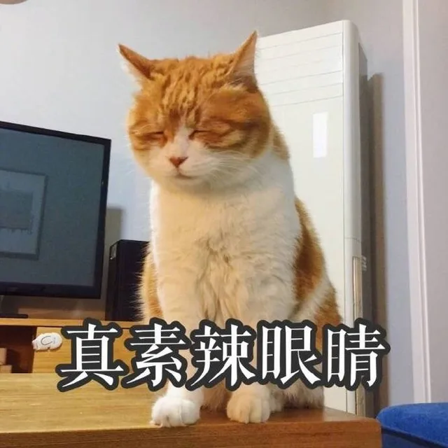 真素辣眼睛