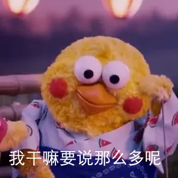 我干嘛要说那么多呢