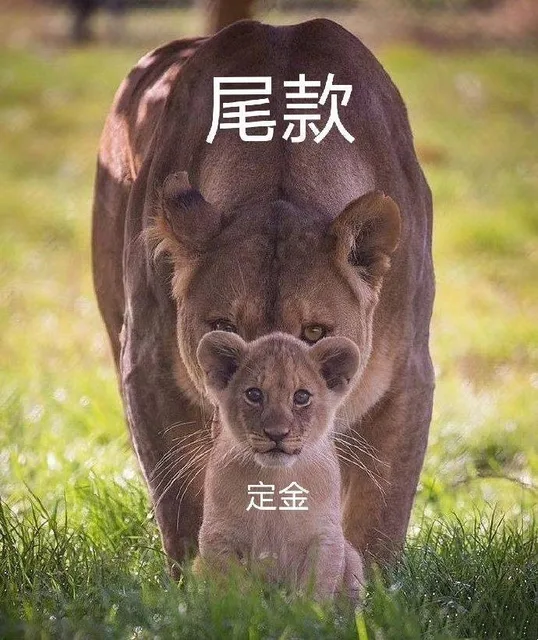 尾款定金