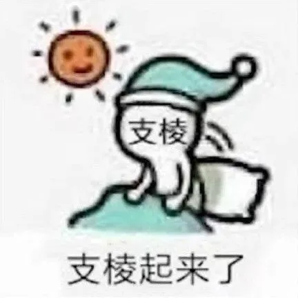 支棱支棱起来了（支棱支棱起来了）