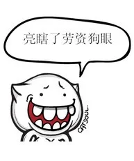 亮瞎了劳资狗眼！（亮瞎了劳资狗眼！）