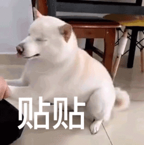 贴贴（贴贴）